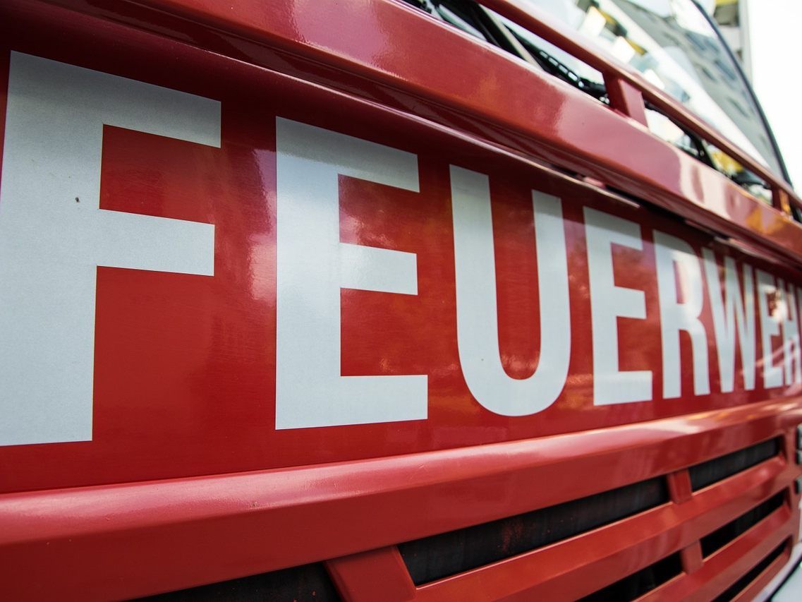 Rund 50 Feuerwehreinsätze wegen Sturm in Wien. Rund 50 Feuerwehreinsätze wegen Sturm in Wien.