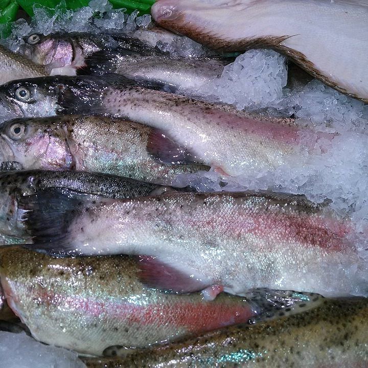 Wer beim Fischkauf auf Nummer sicher gehen will, sollte einiges beachten