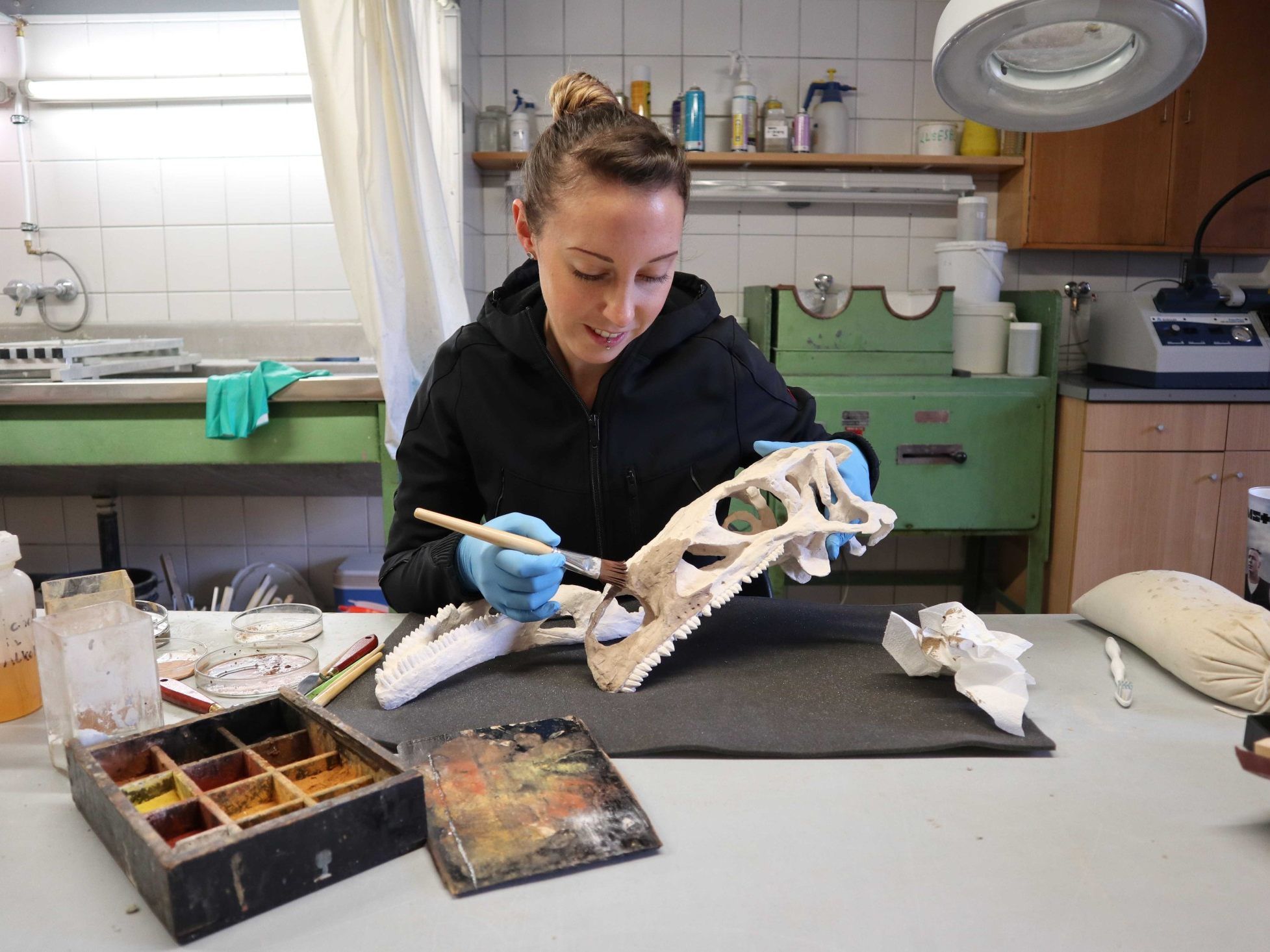 Der Schädel des Sauriers im NHM stammt aus dem 3D-Drucker.