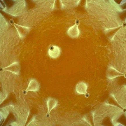 Bei engem Körperkontakt ist die Ansteckungsgefahr groß.