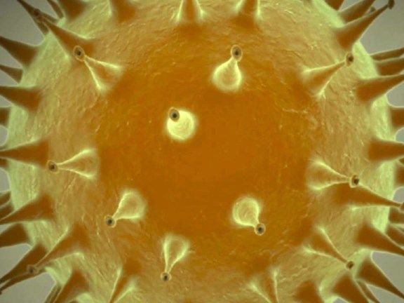 Bei engem Körperkontakt ist die Ansteckungsgefahr groß.