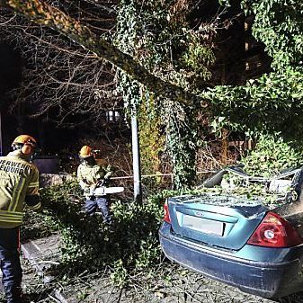 Zahlreiche Schäden durch Sturmtief "Sabine"