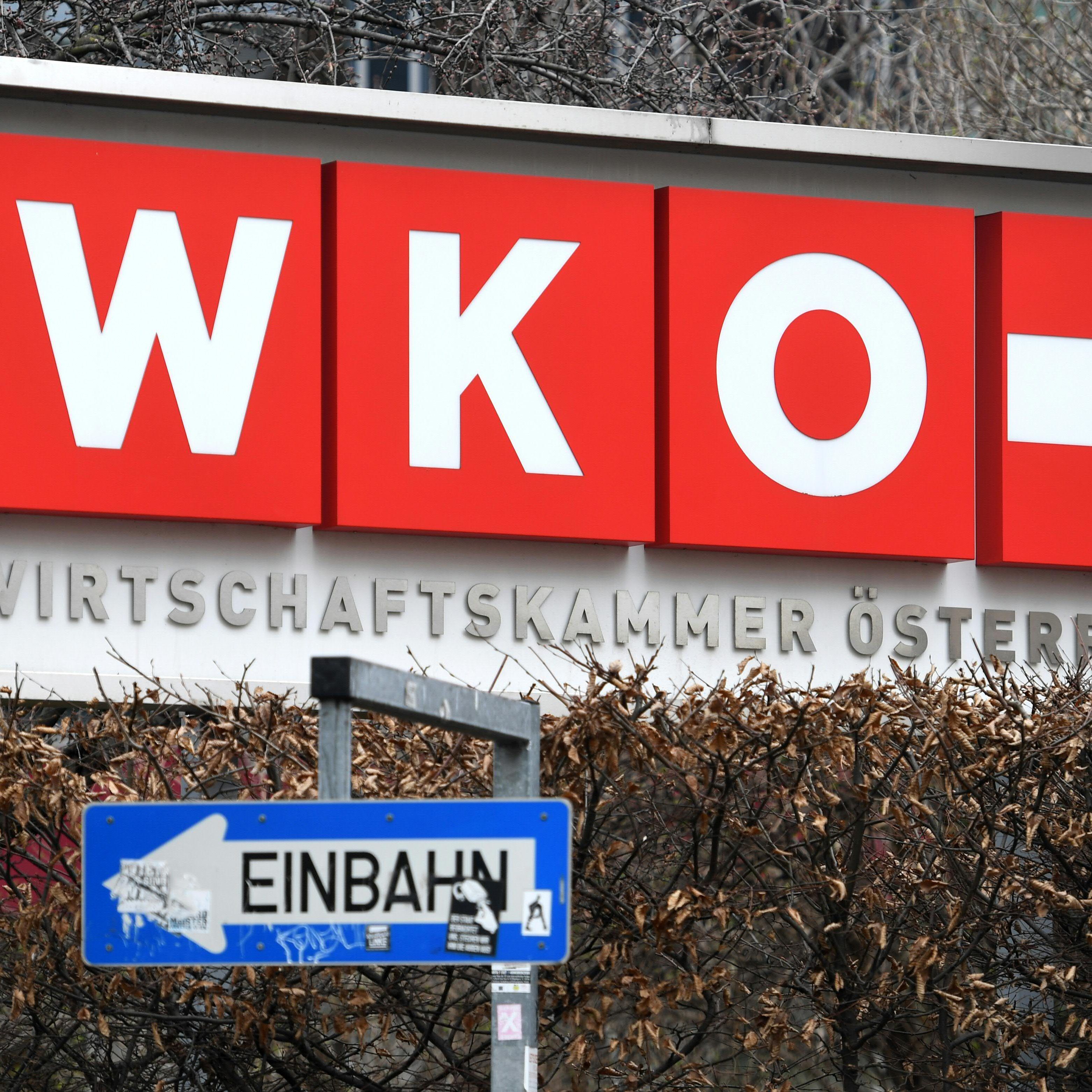 In Wien wird zwischen 3. und 5. März gewählt.