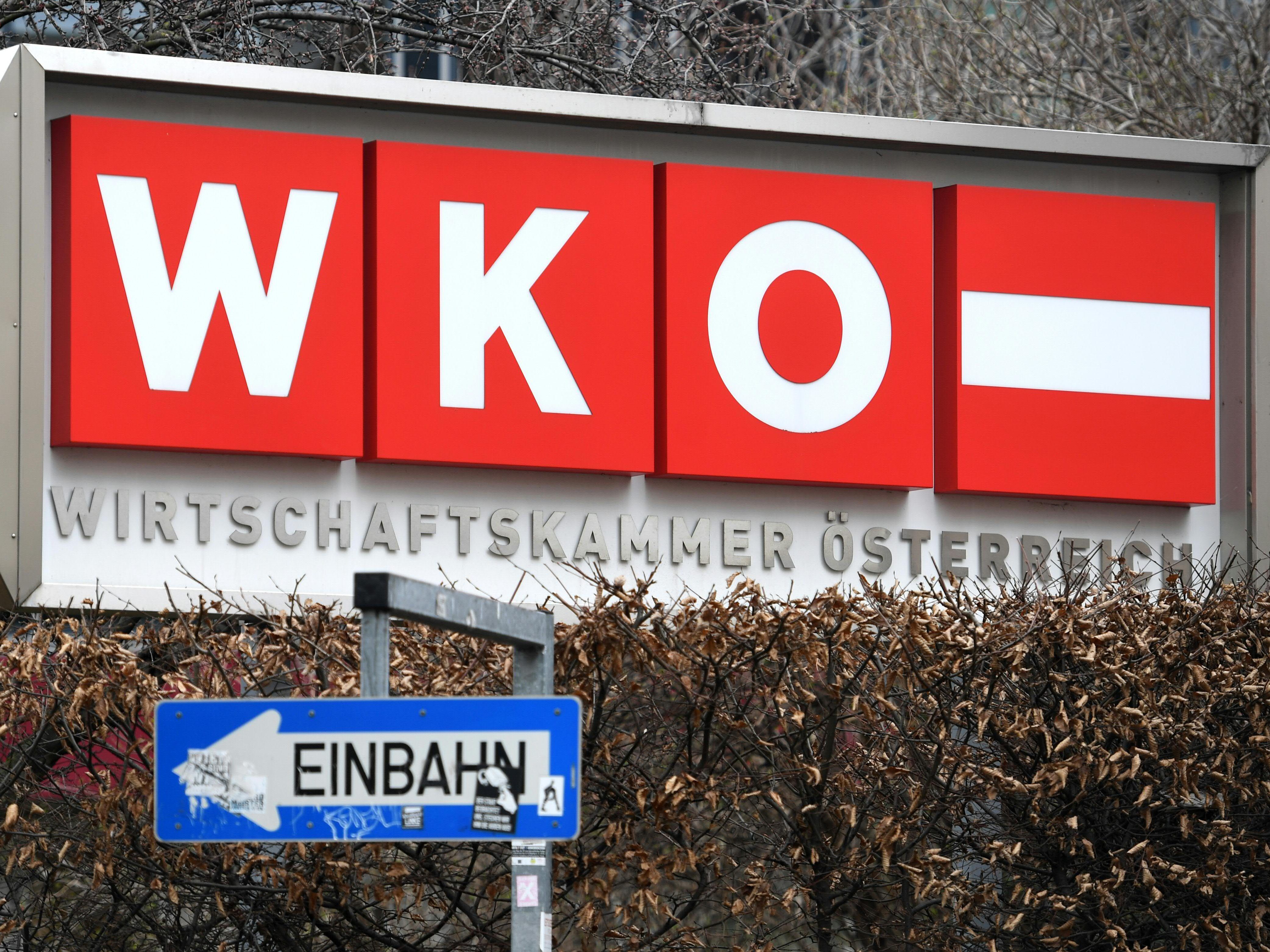 In Wien wird zwischen 3. und 5. März gewählt.