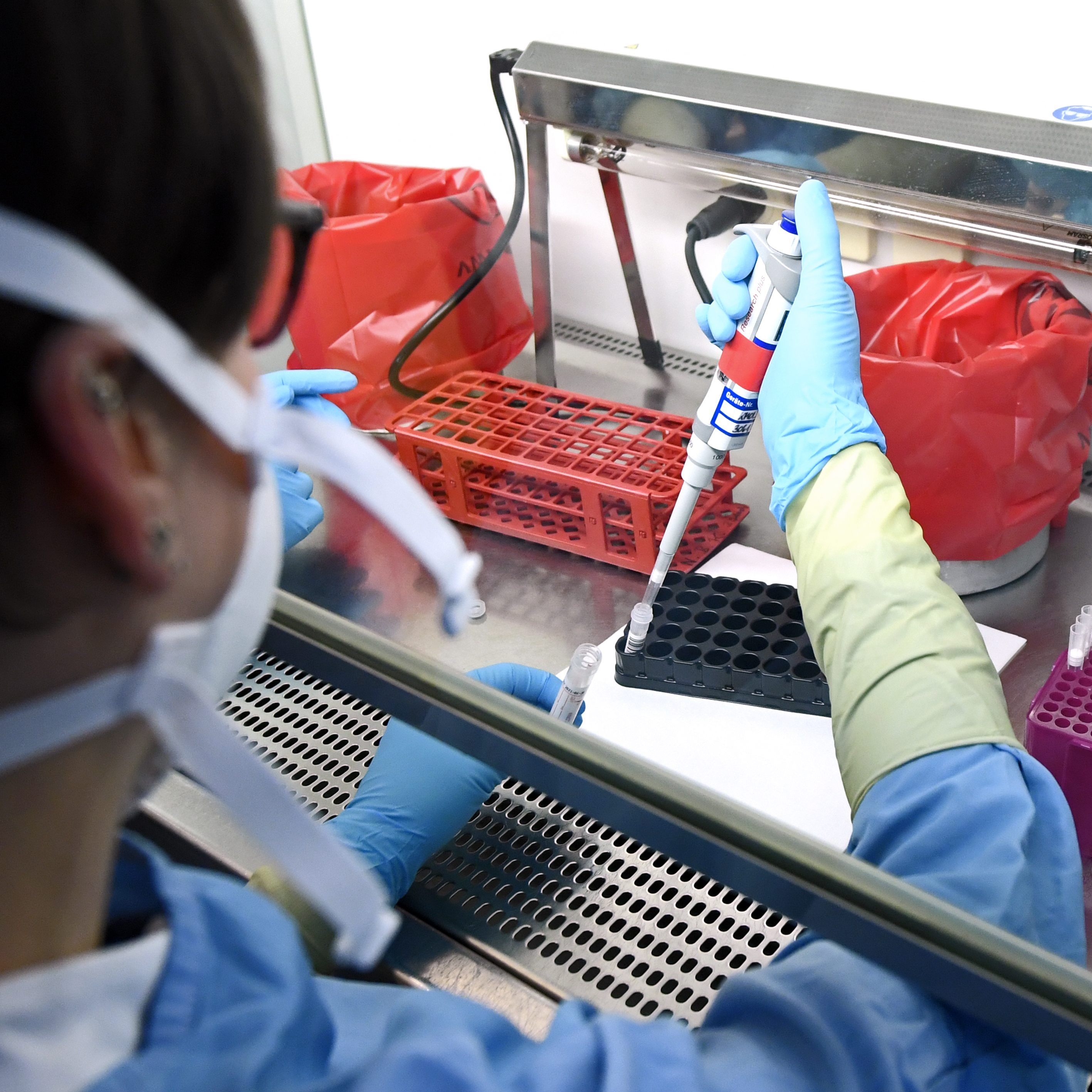 Ein deutscher Virologe sagt, dass der Erreger gar nicht so gefährlich sei.