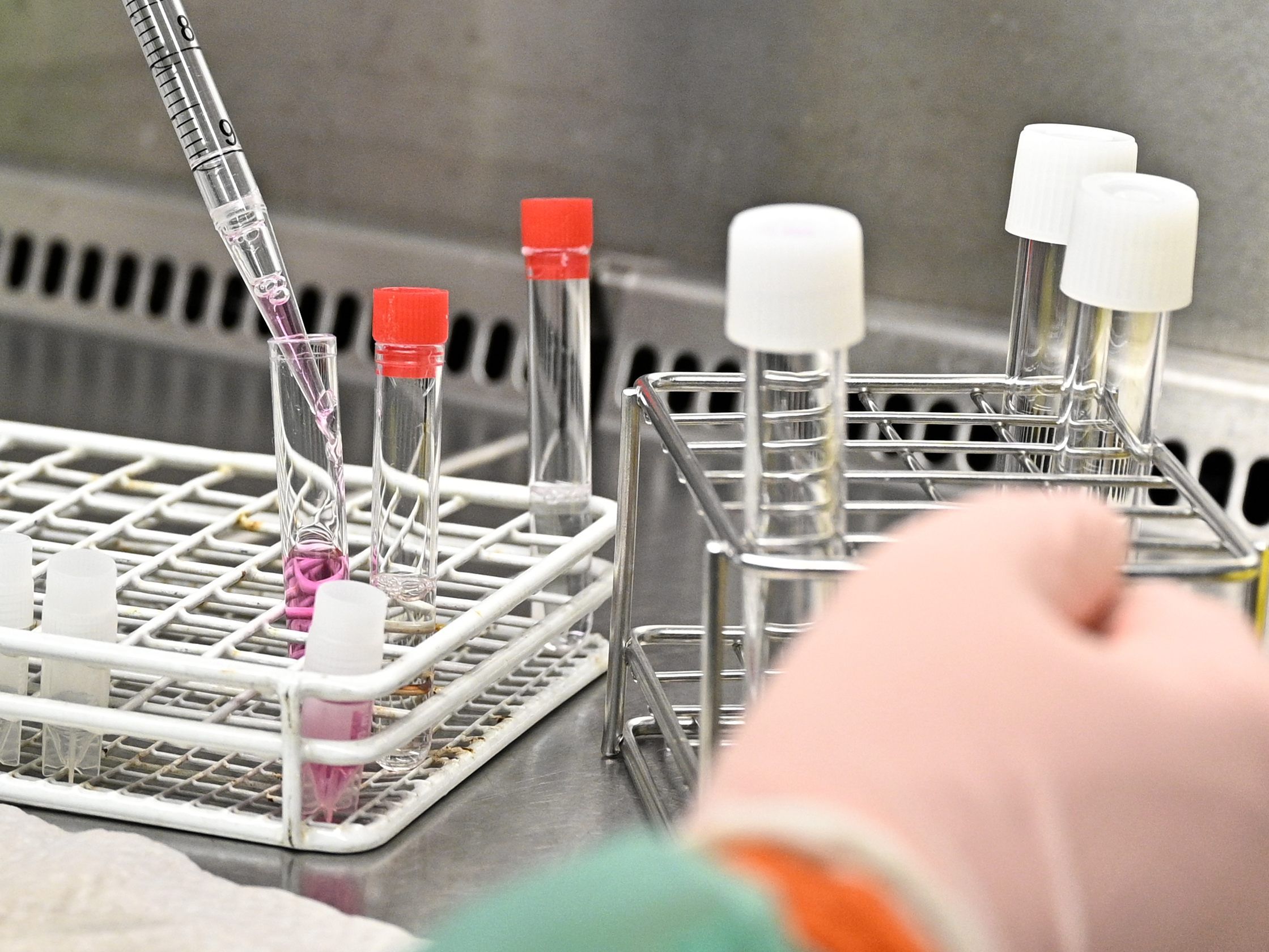 Automatisierte Coronavirus-Tests sollen in nächster Zukunft kommen.