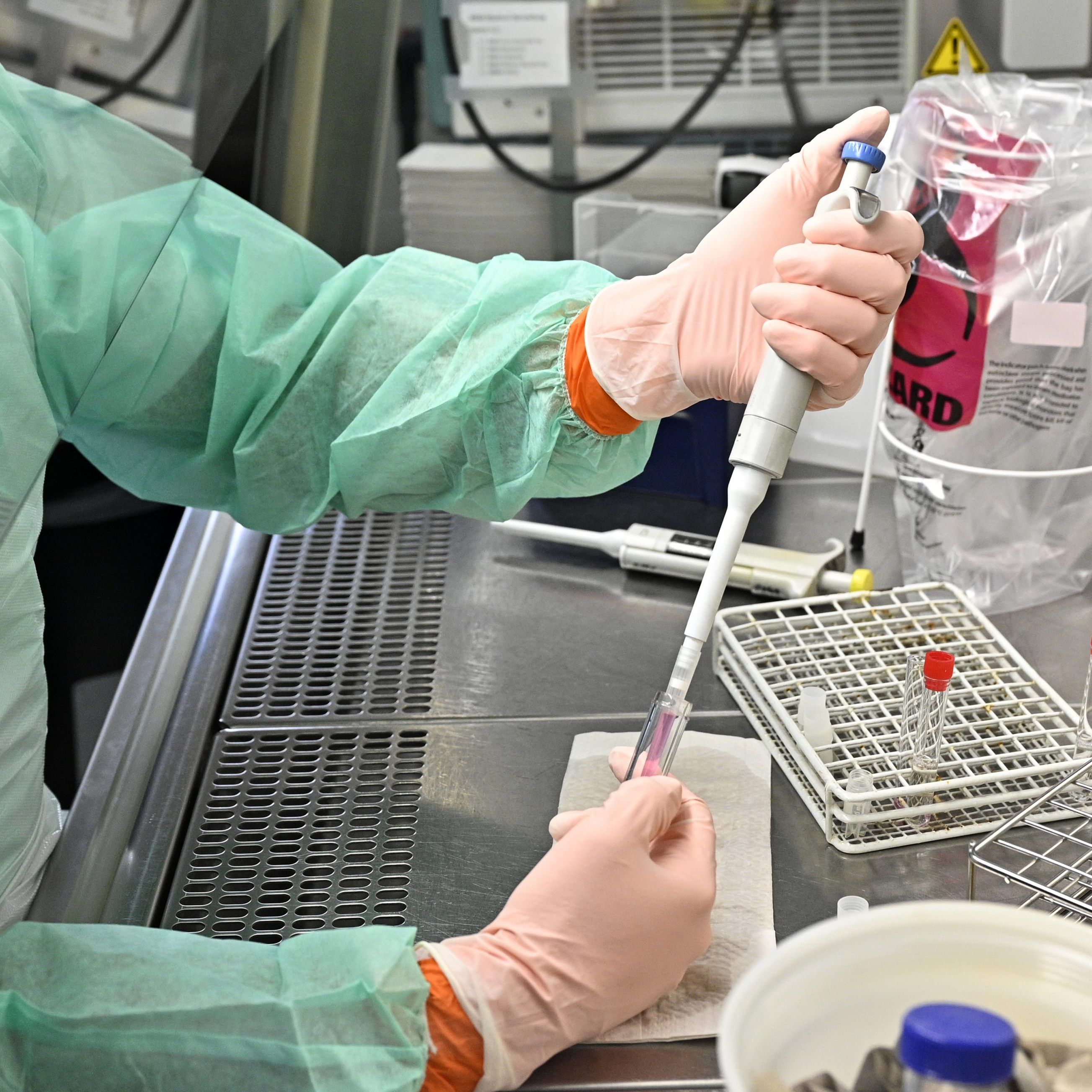 Derzeit gibt es in Österreich 9.377 Coronavirus-Infizierte.