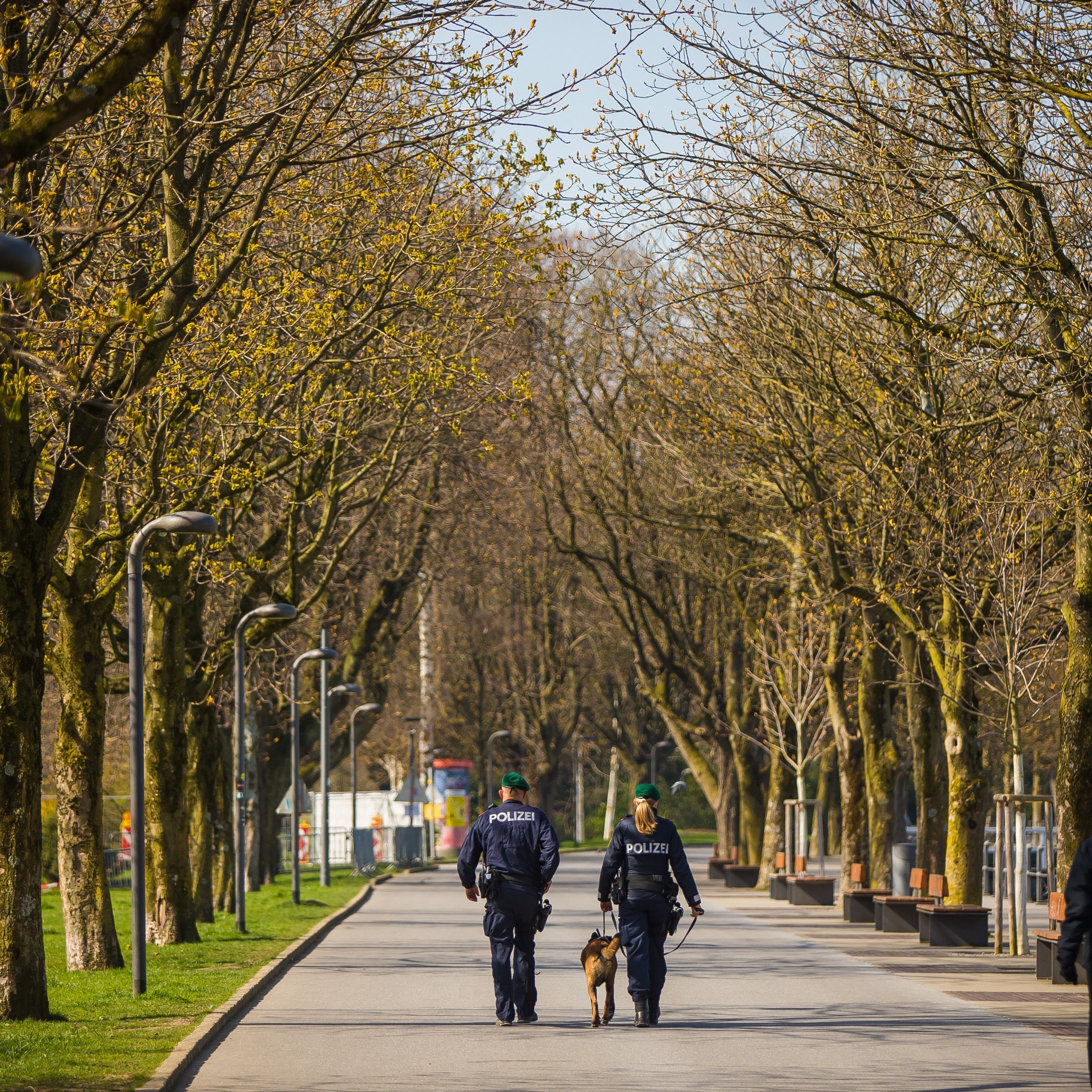Vorarlbergs Straßen sind derzeit wie ausgestorben.