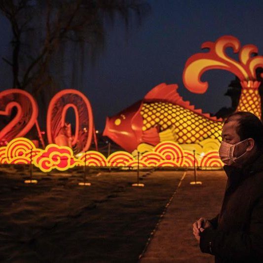 Ein Fischmarkt in Wuhan war der Ausgangspunkt für die jetzige Coronavirus-Pandemie