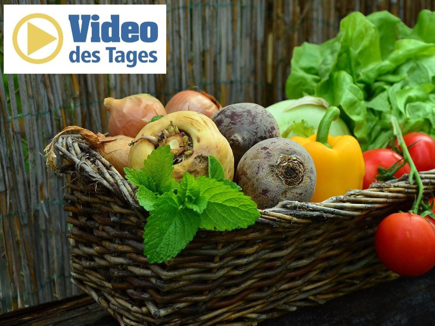 Es gibt eine Vielzahl von Diäten, aber Crash-Diäten oder einseitige Ernährung können zum Jojo-Effekt führen. Es gibt eine Vielzahl von Diäten, aber Crash-Diäten oder einseitige Ernährung können zum Jojo-Effekt führen.