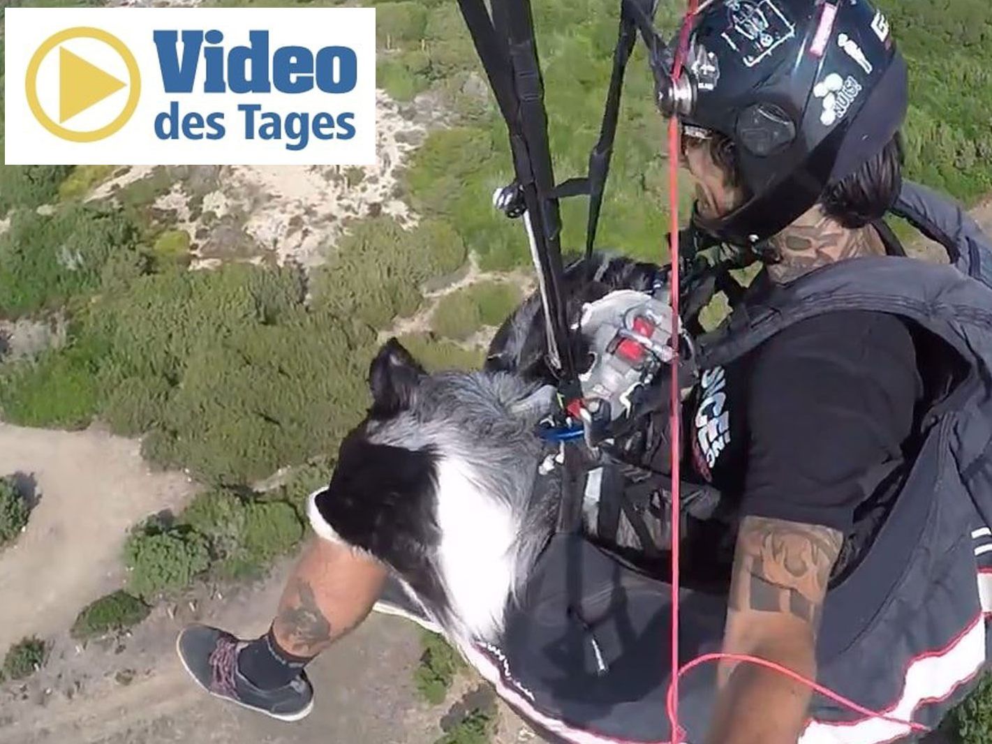 Hund "Kazuza" und sein Besitzer haben schon mehr als 40 Sprünge absolviert.