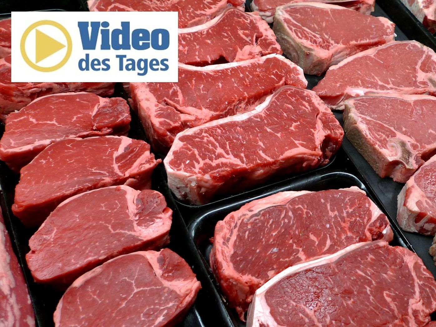 Das Steak aus dem 3D-Drucker soll das Fleisch der Zukunft sein. Das Steak aus dem 3D-Drucker soll das Fleisch der Zukunft sein.