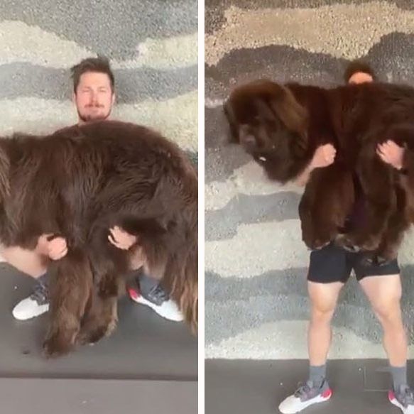 Kniebeugen mit seinem Hund Pumba