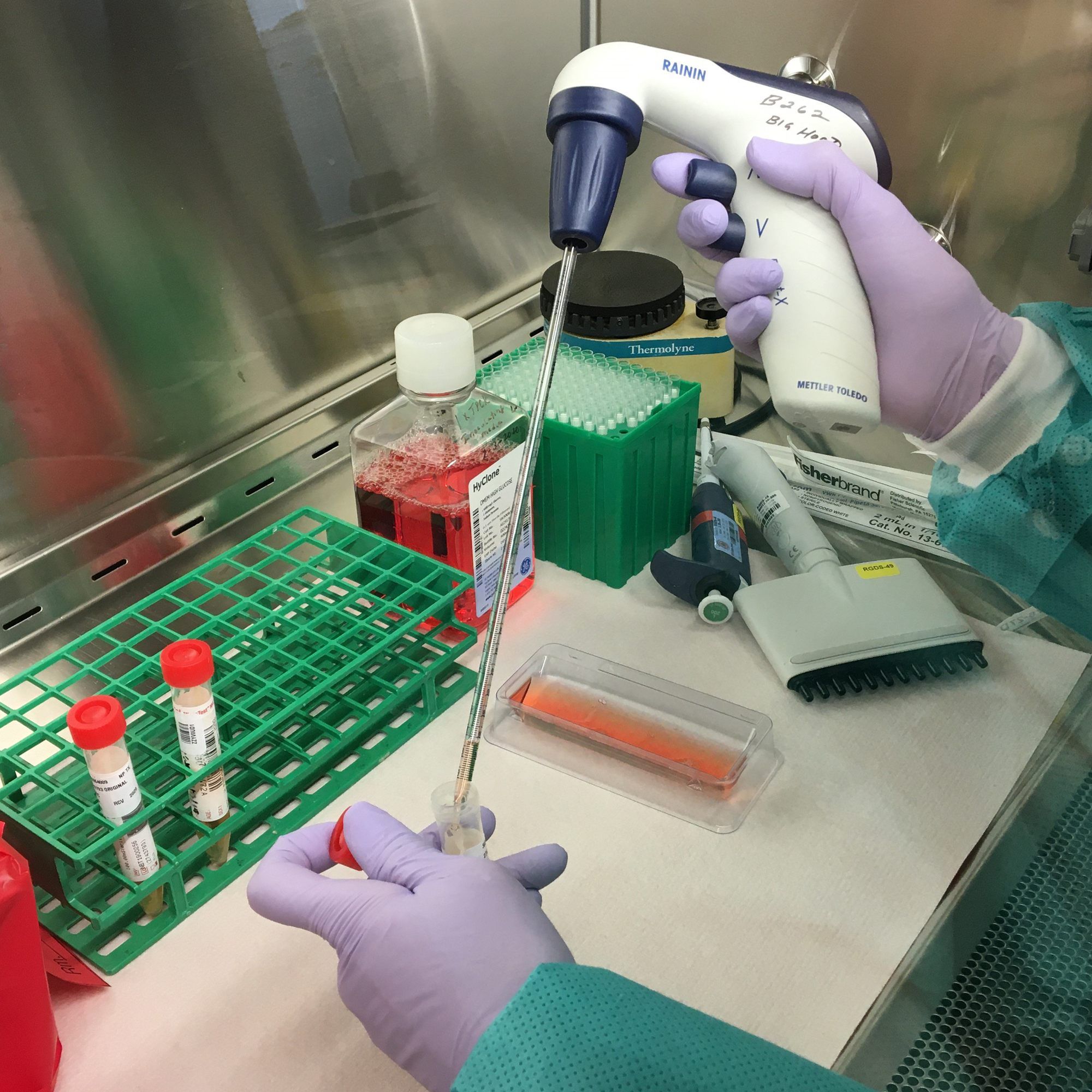 Alle 300 Mitarbeiter der Wiener Großkanzlei wurden auf Coronavirus getestet.