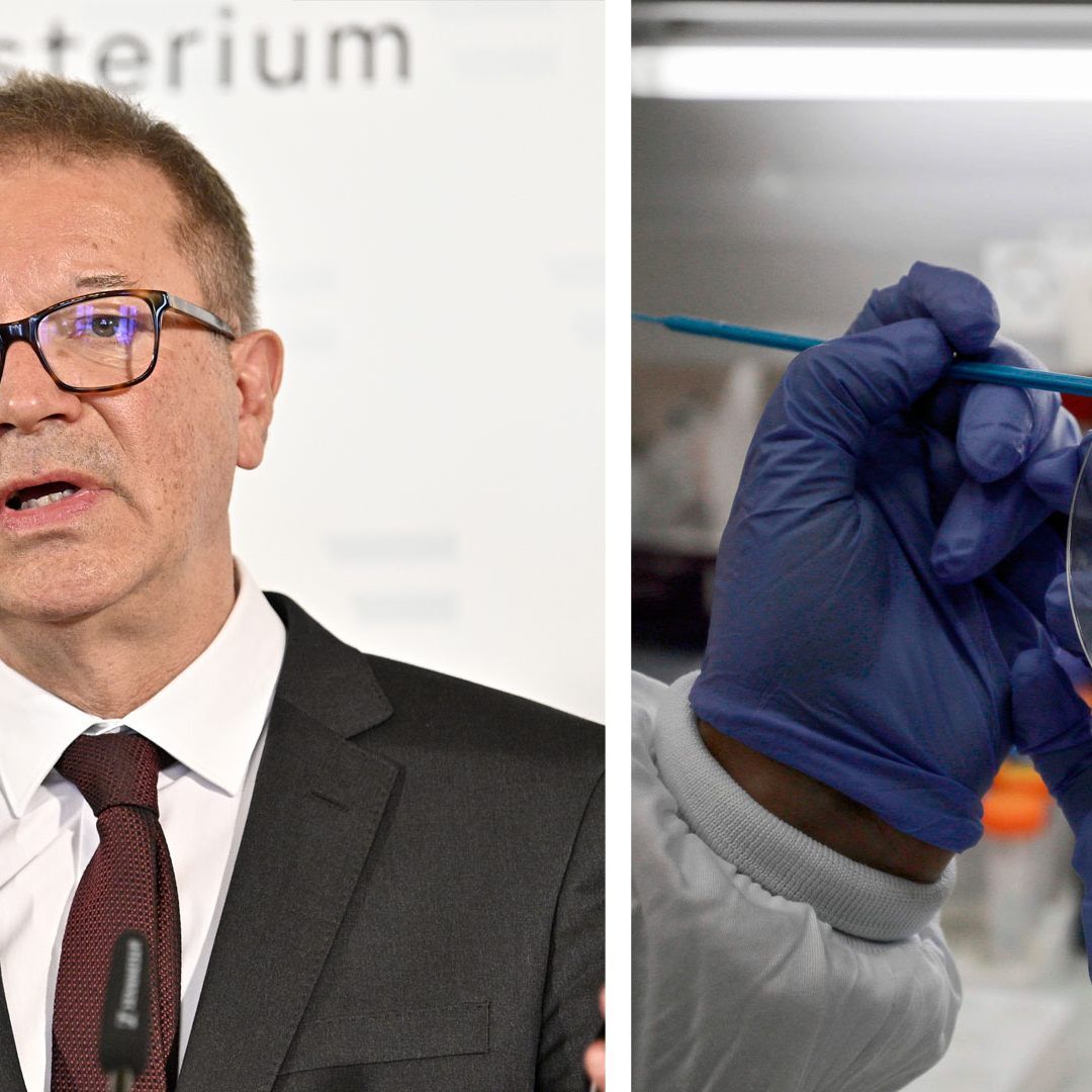 Anschober äußert, dass rund 40.000 Erkrankte bereits wieder gesund sind.