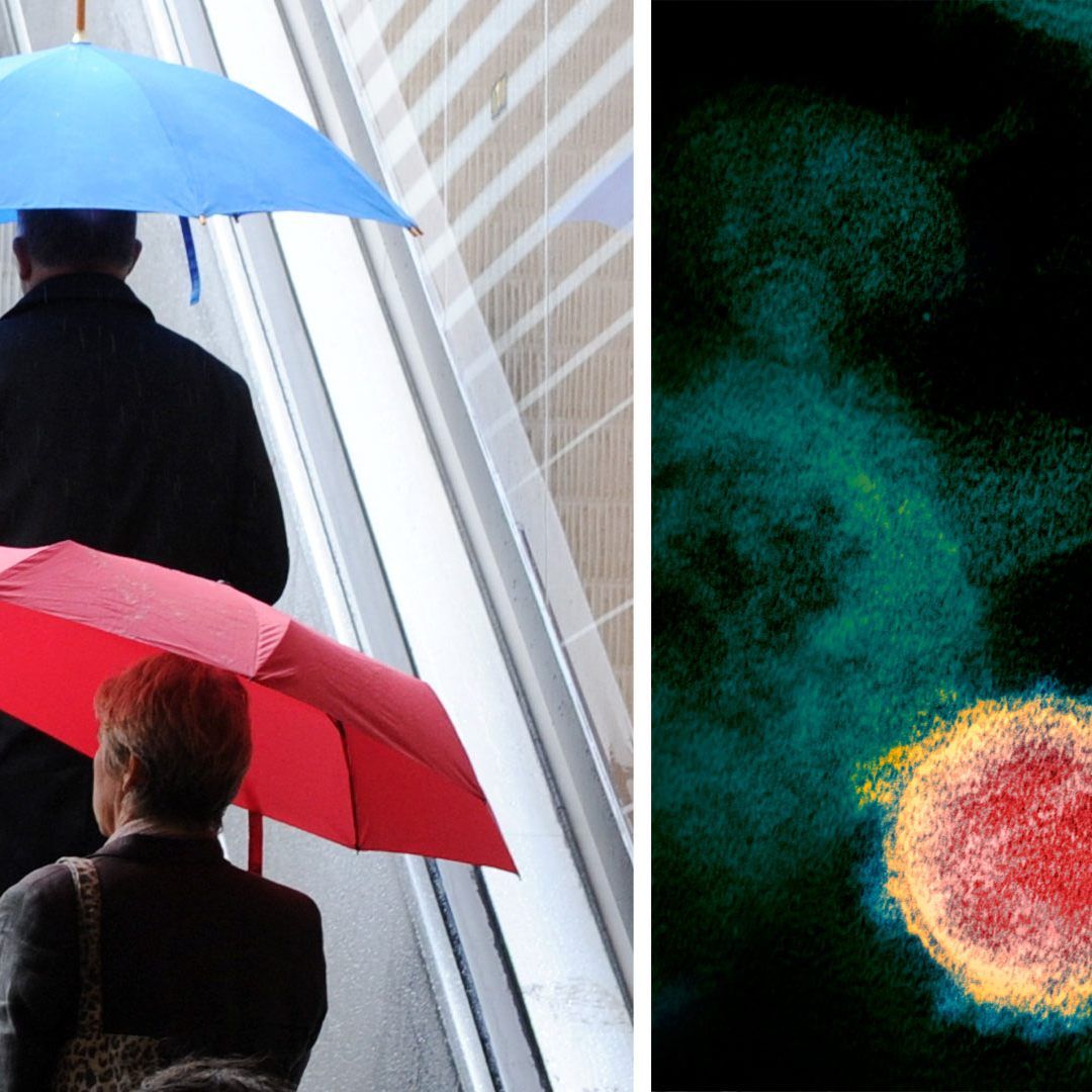 Coronavirus - Angeblich infizierter Münchner leckte Rolltreppe ab