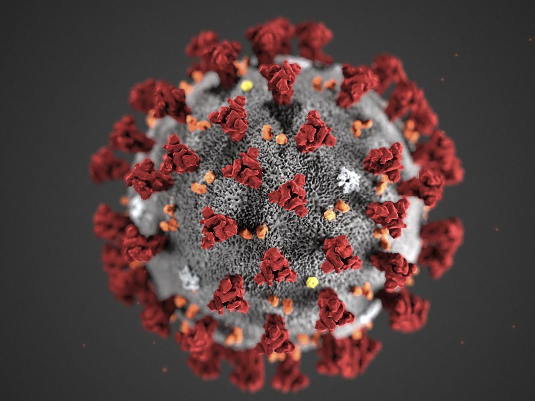 Die Homedepot-Messe in Wien wurde wegen des Coronavirus abgesagt.