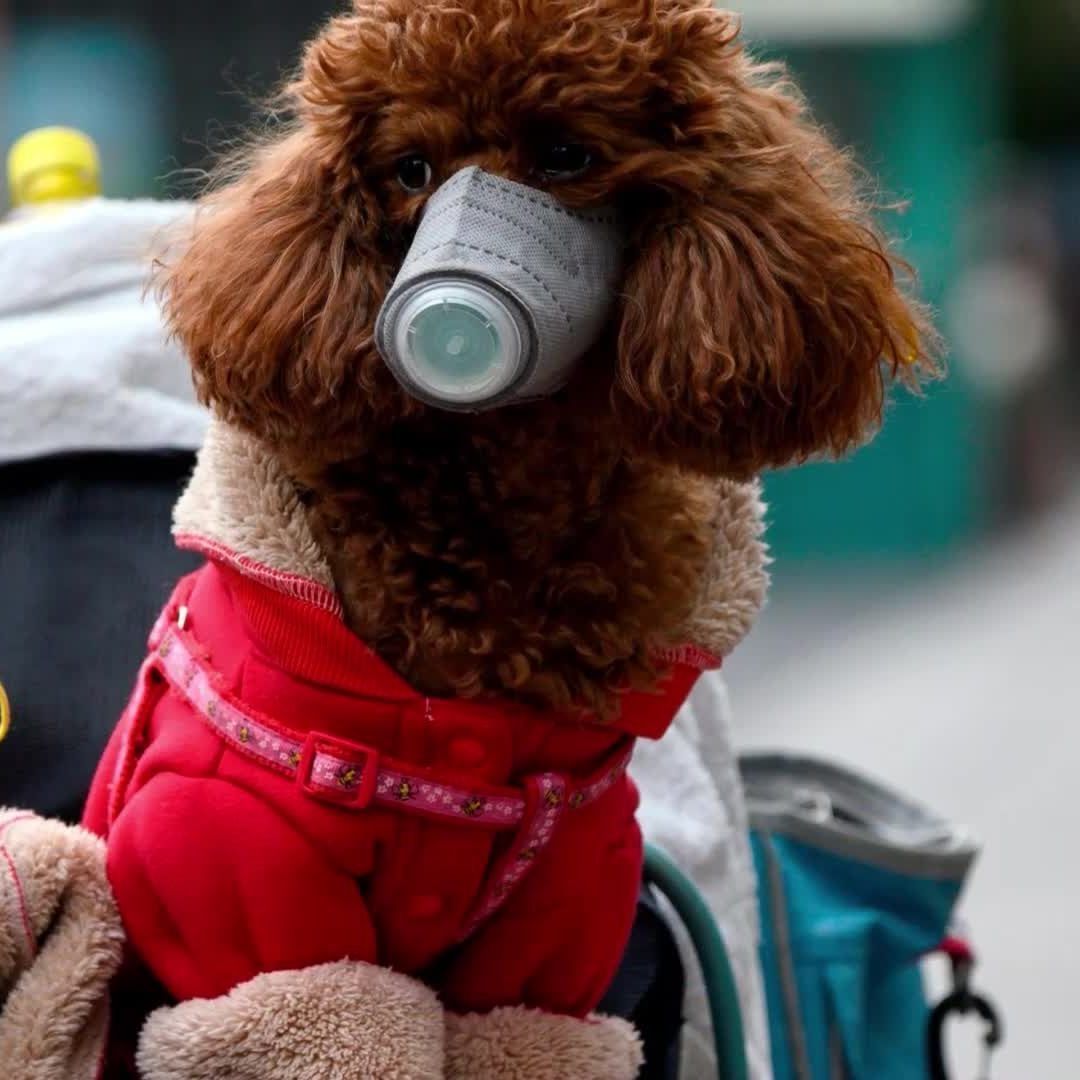 Erstmals wurde in Hongkong positiv auf das Coronavirus getestet.