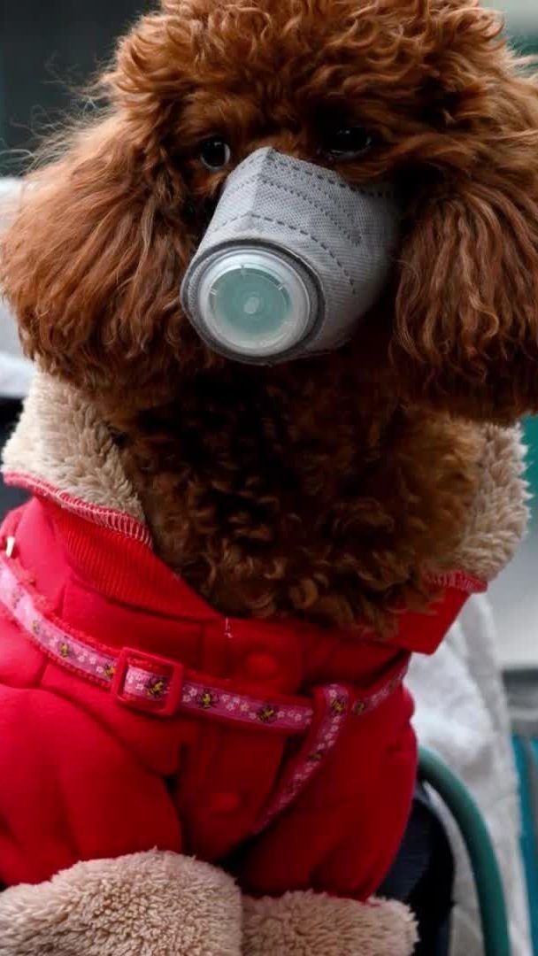 Erstmals wurde in Hongkong positiv auf das Coronavirus getestet.