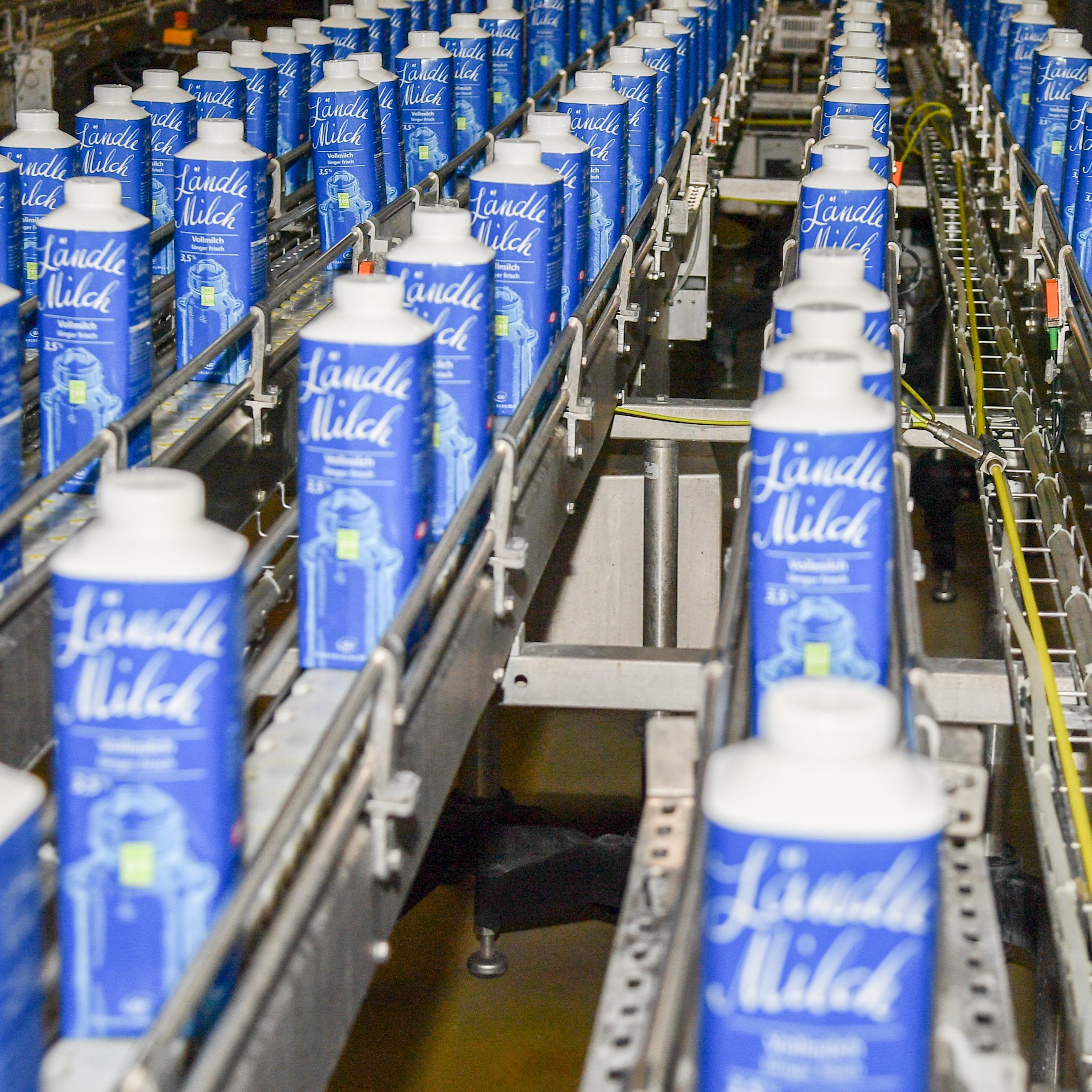 Vorarlberg Milch: "Sind in einer schwierigen Situation"