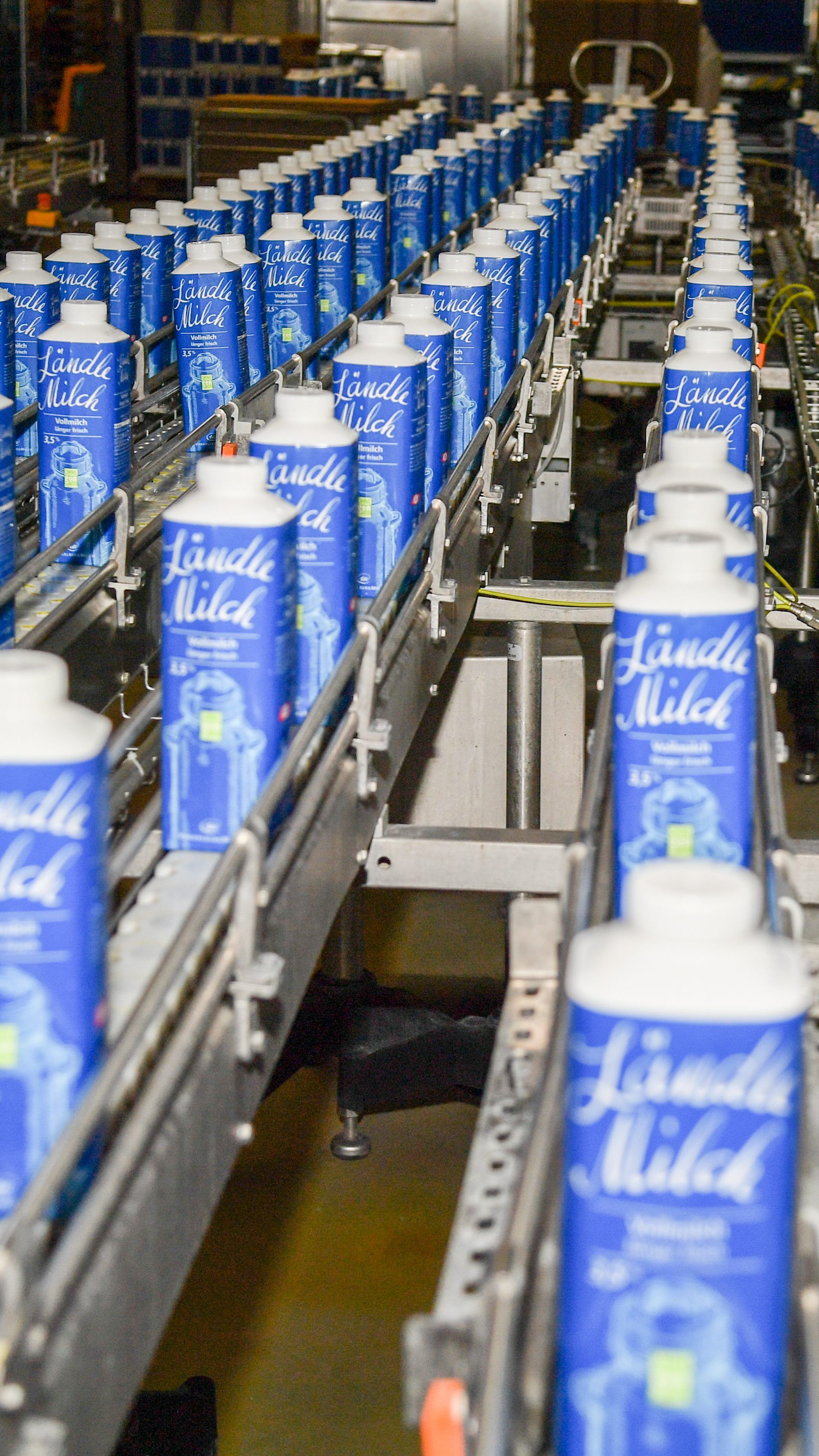 Vorarlberg Milch: "Sind in einer schwierigen Situation"