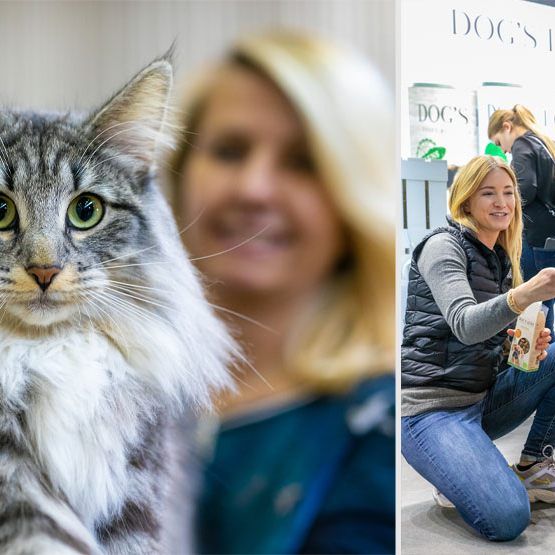 Edle Katzen, schöne Hunde und viele Vierbeiner mehr gab es bei der Haustiermesse zu bestaunen