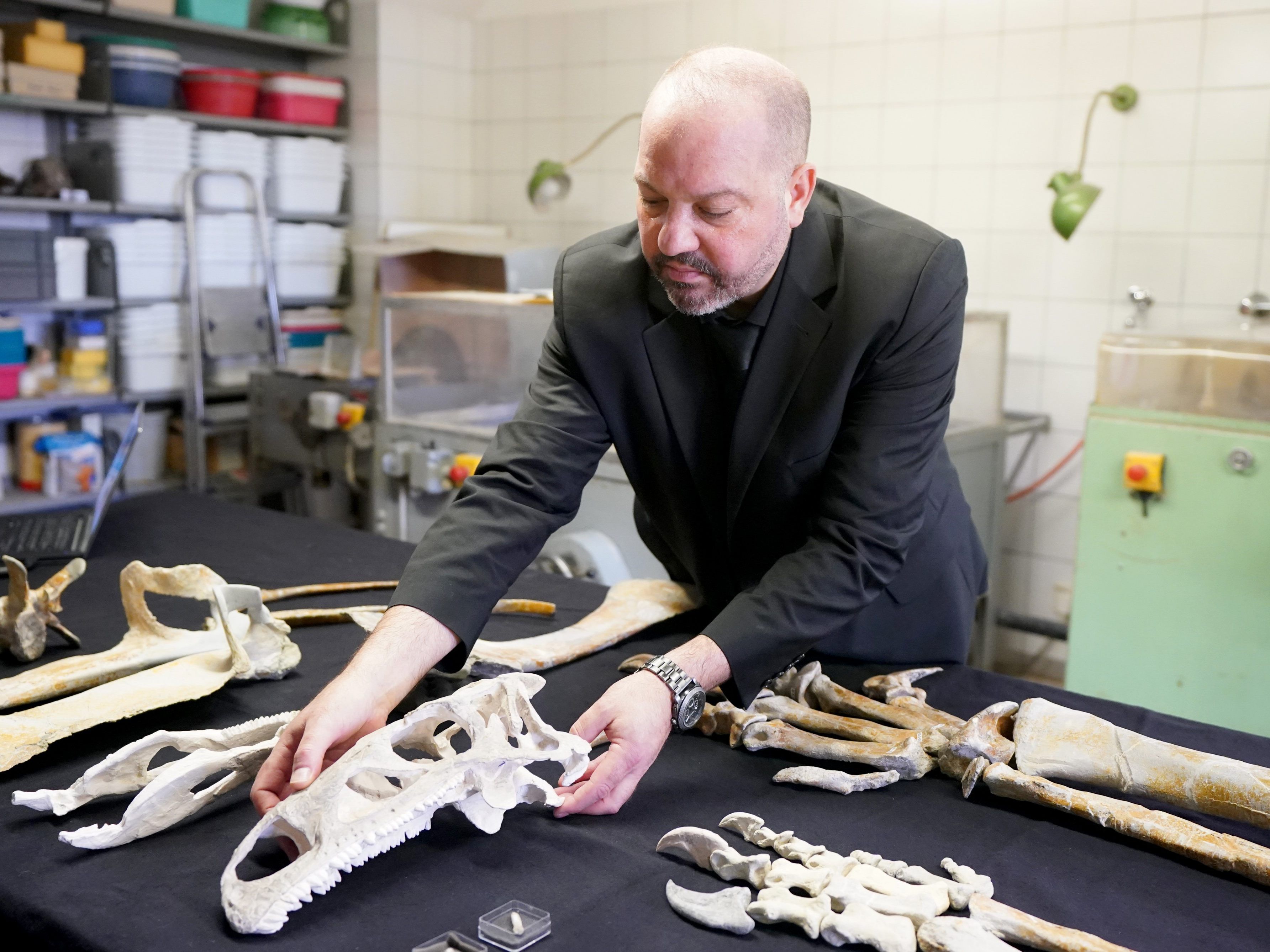 Das NHM in Wien ist auch in der Coronakrise online zugänglich.