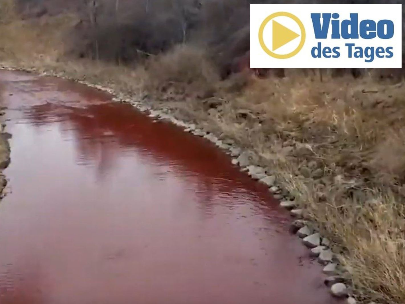Ein Wanderer filmt den roten Fluss in der Nähe von Toronto. Ein Wanderer filmt den roten Fluss in der Nähe von Toronto.