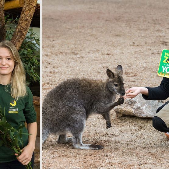 Aktiv für Australien: Tierpflegerin Kiva Cheyenne Prinsloo und Tierpflegerin Magdalena Höllerer (r.) gehören zu den Unterstützern der Aktion im Tiergarten Schönbrunn