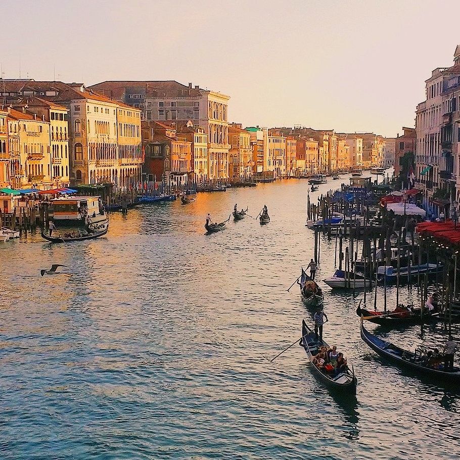 Die Wasserqualität in Venedig hat sich stark verbessert.