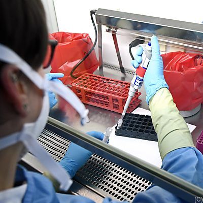 Wissen über die Dunkelziffer entscheidend