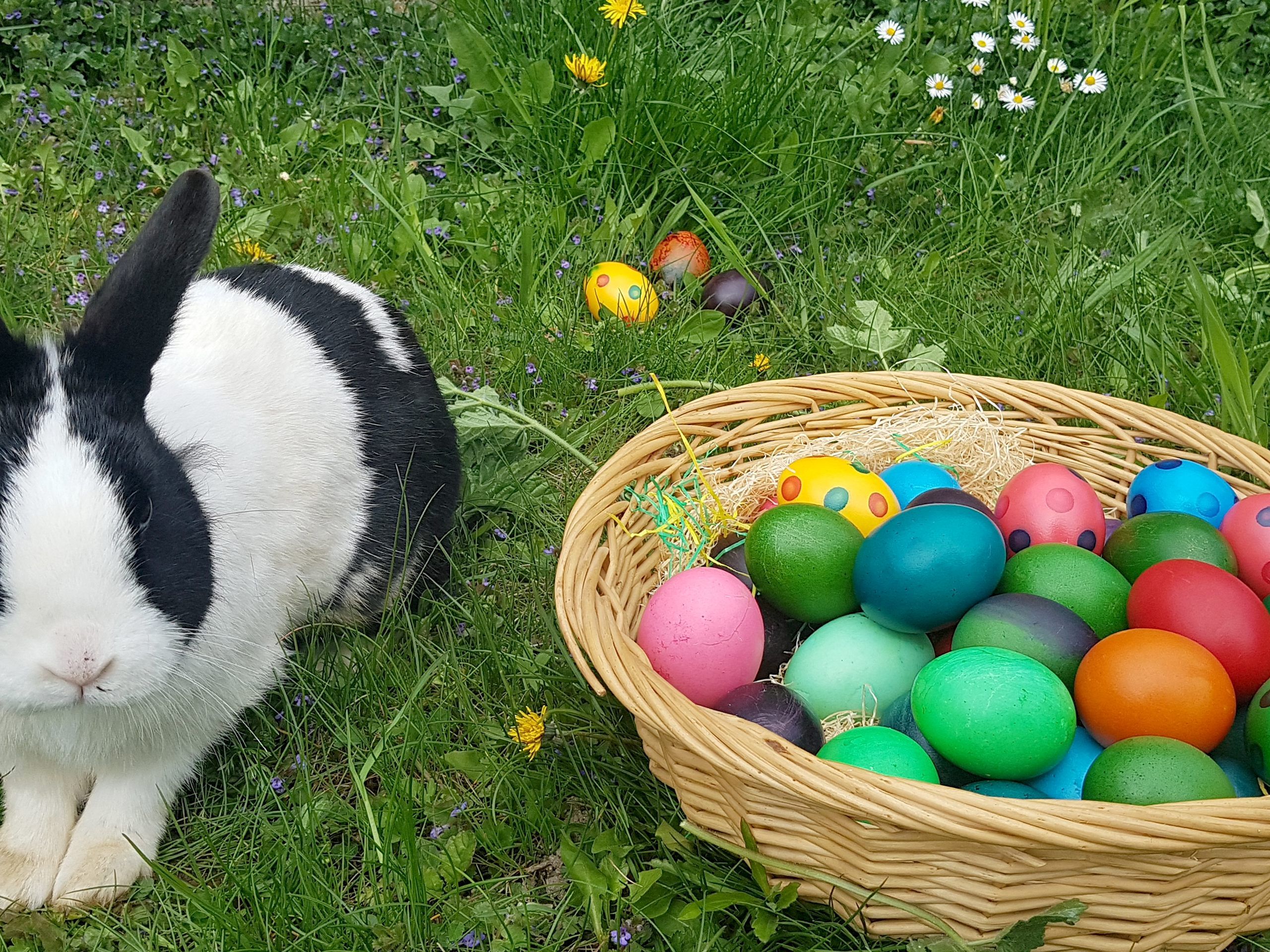 Ostern wird heuer anders verlaufen als sonst. Ostern wird heuer anders verlaufen als sonst.