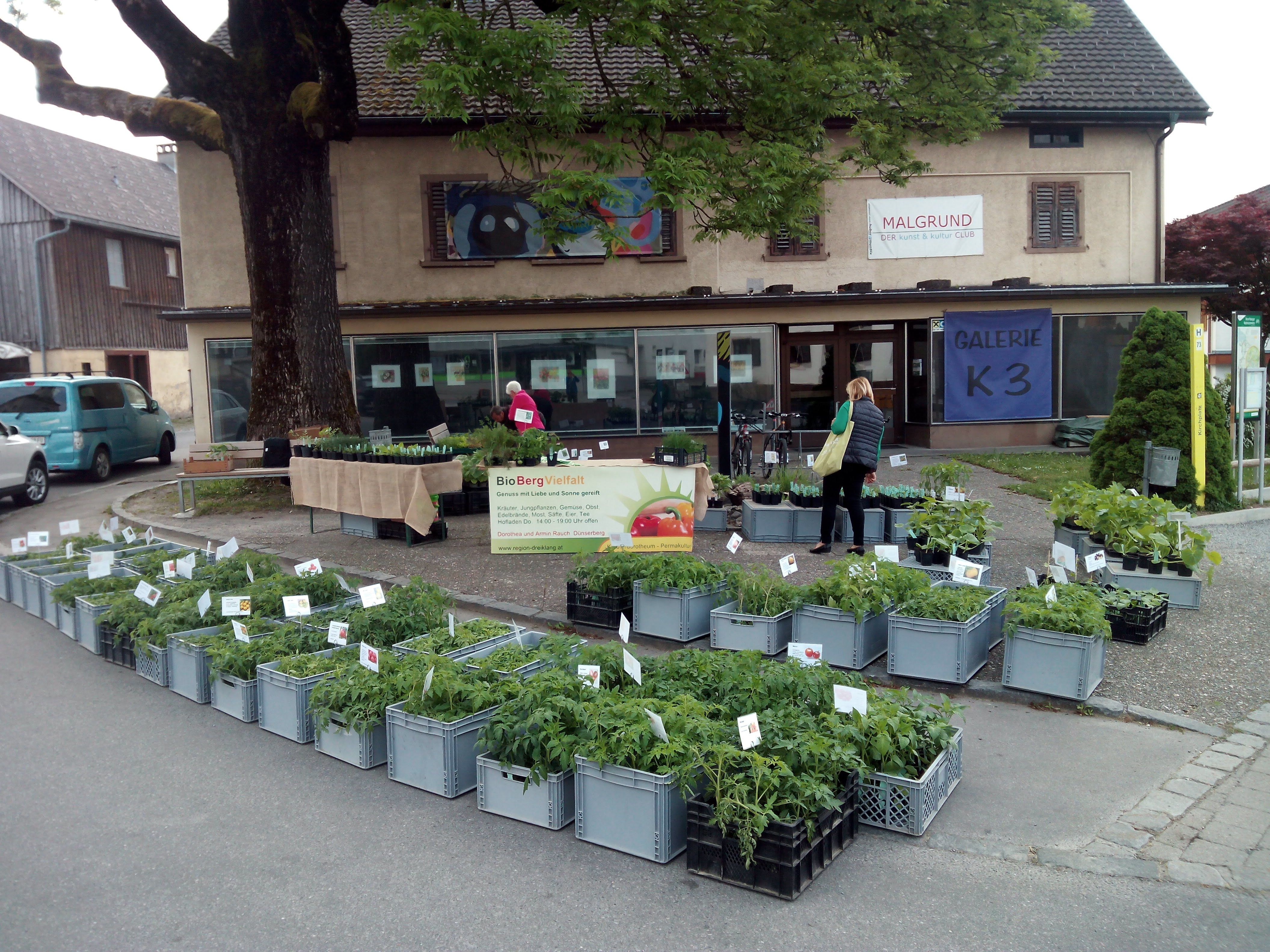 Setzlingsmarkt mit Armin Rauch