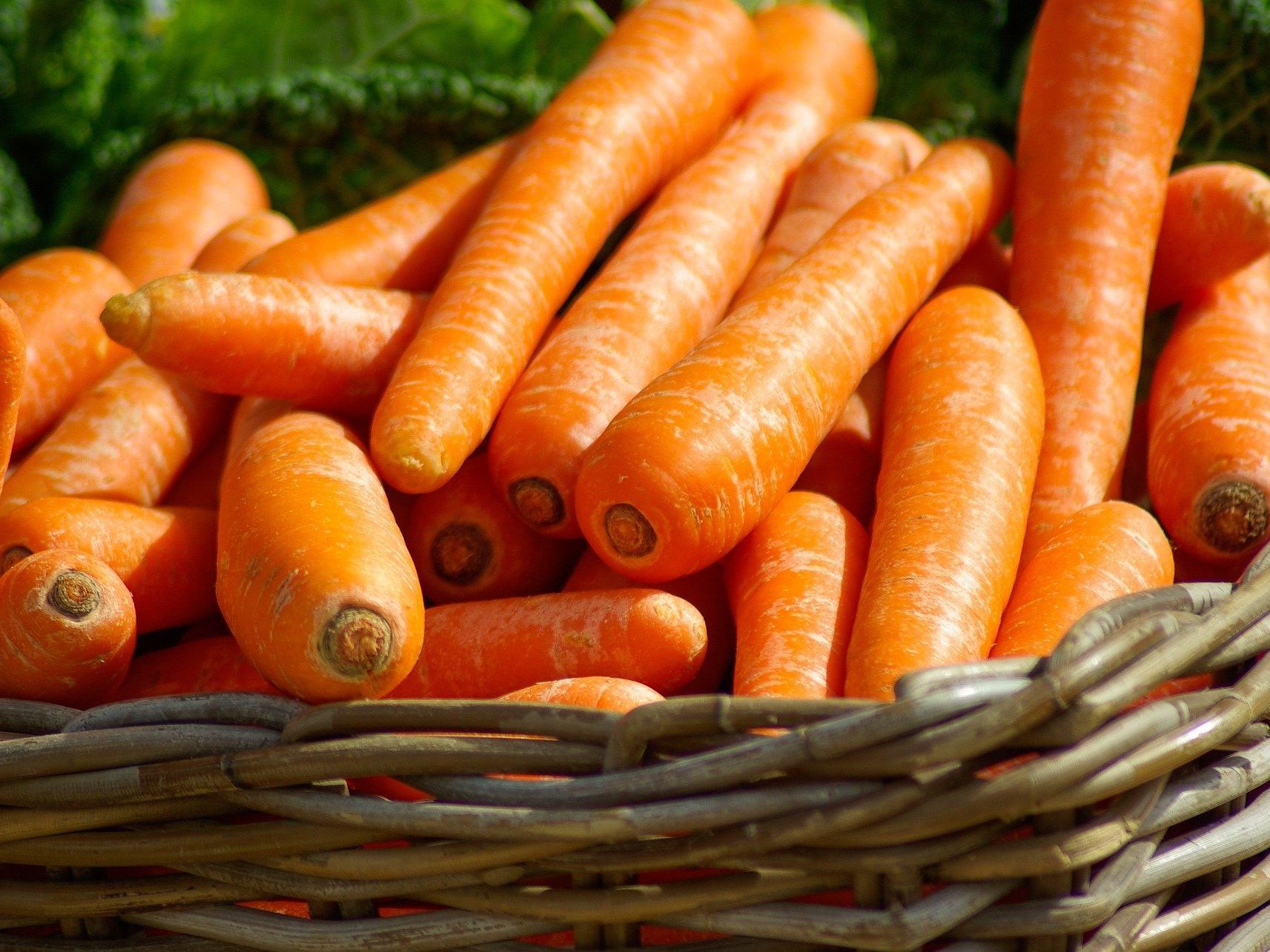 Karotten sind gesund und krisensicher. Der 4. April ist der Tag der Karotte.
