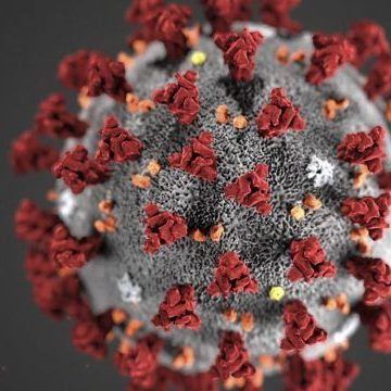 Die Vorus-Reproduktionsrate ist in Österreich seit 12. März rückläufig.