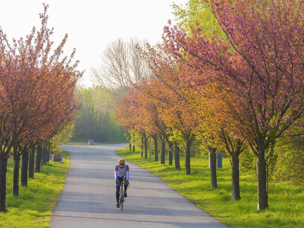 Auch auf der Donauinsel muss der Mindestabstand eingehalten werden.