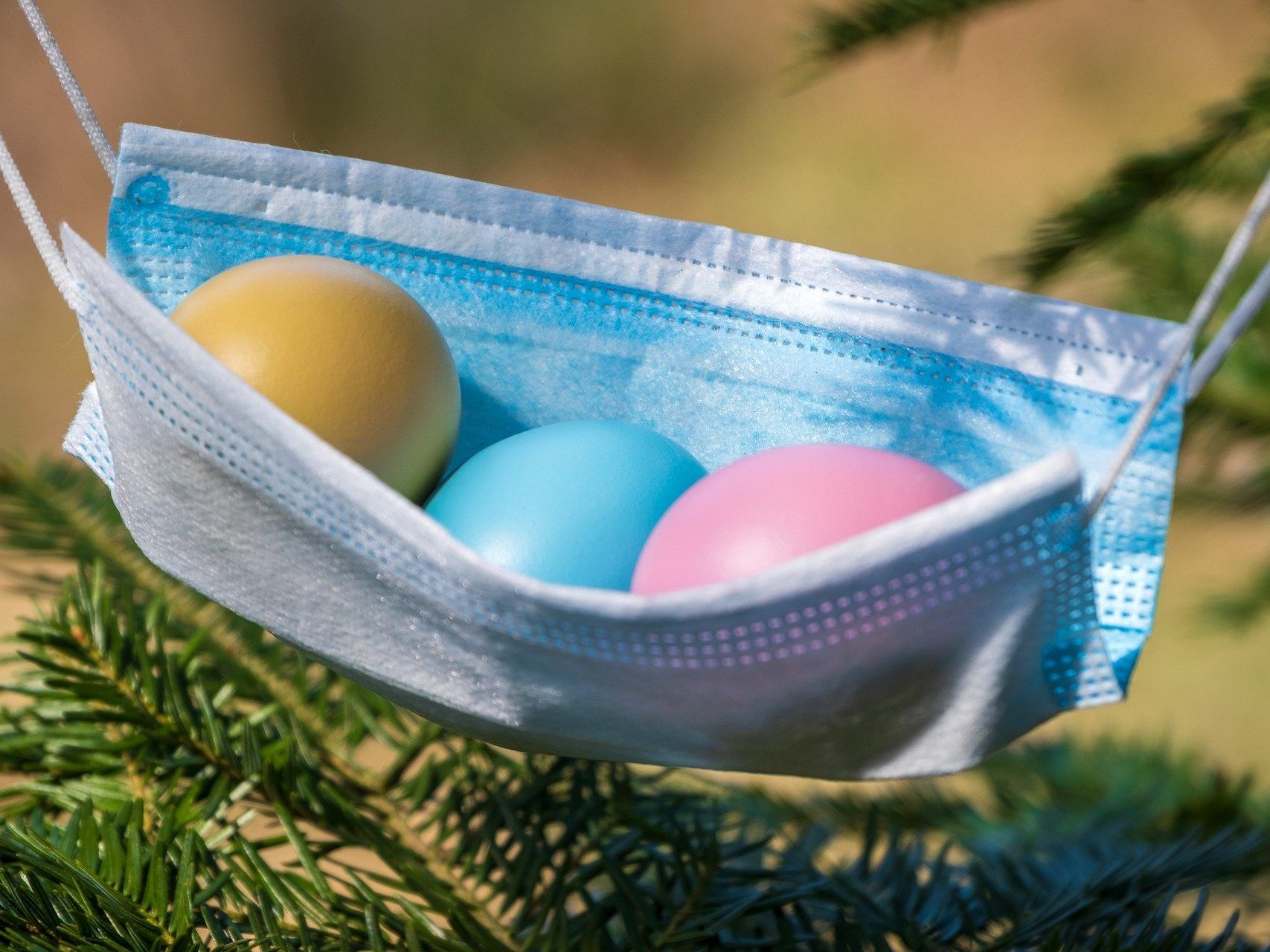 Österreichs Bauern bangen, wegen der Corona-Krise auf ihren Ostereiern sitzen zu bleiben.