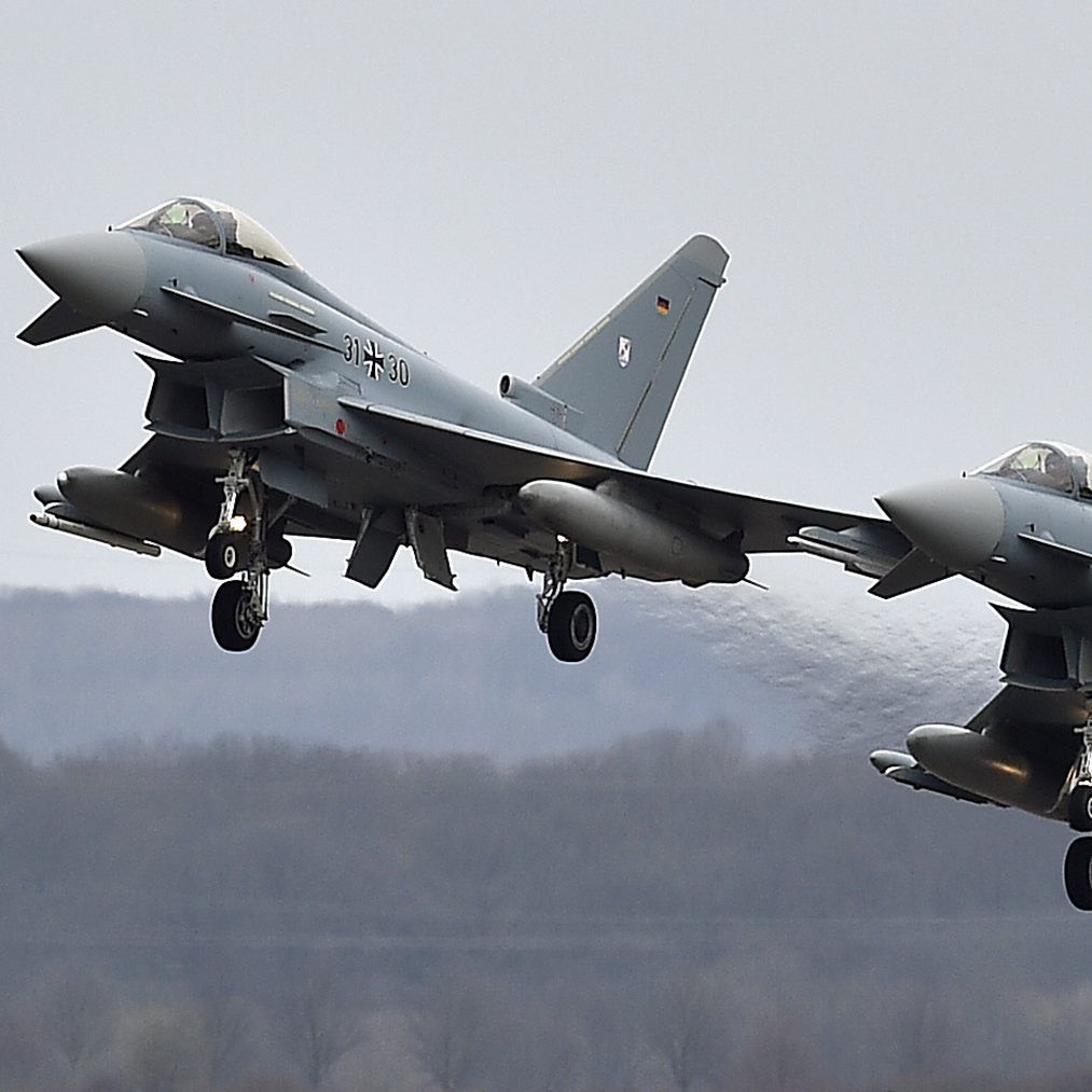 Wegen der Lautstärke der Eurofighter gerieten die Tiere in Panik und verletzten sich.