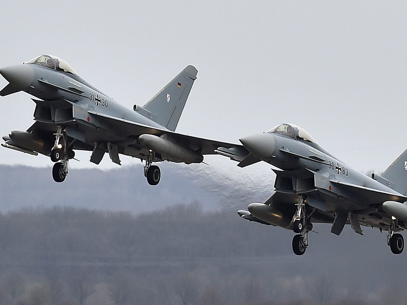 Wegen der Lautstärke der Eurofighter gerieten die Tiere in Panik und verletzten sich. Wegen der Lautstärke der Eurofighter gerieten die Tiere in Panik und verletzten sich.