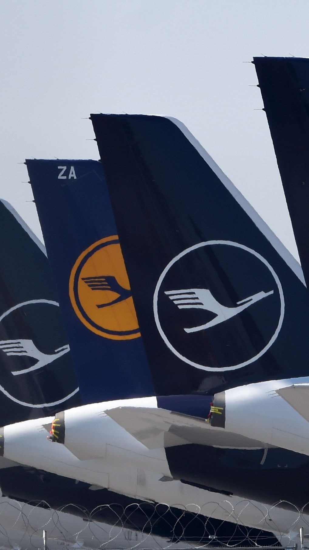 Österreich würde gerne bei der Lufthansa einsteigen.