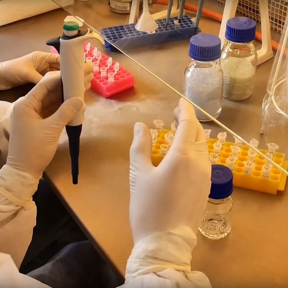 Erste Tests waren erfolgreich.