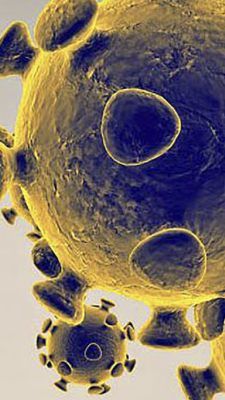 Suche nach Impfstoff gegen Coronavirus läuft auf Hochtouren