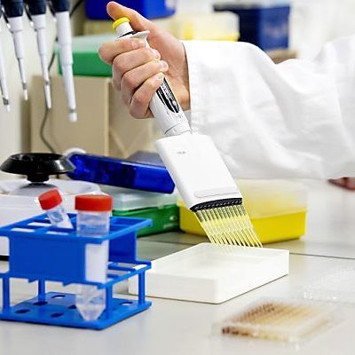 Die Zahlen basieren auf Schätzungen