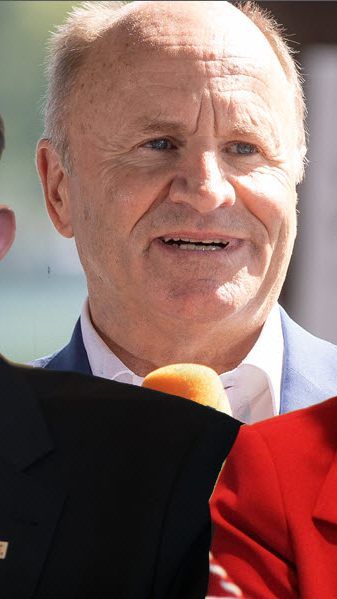 Schützinger, Metzler, Schöbi-Fink