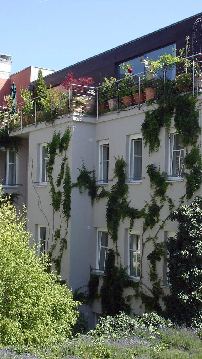 Das Boutiquehotel Stadthalle in Wien wird zur Bühne für Künstler.