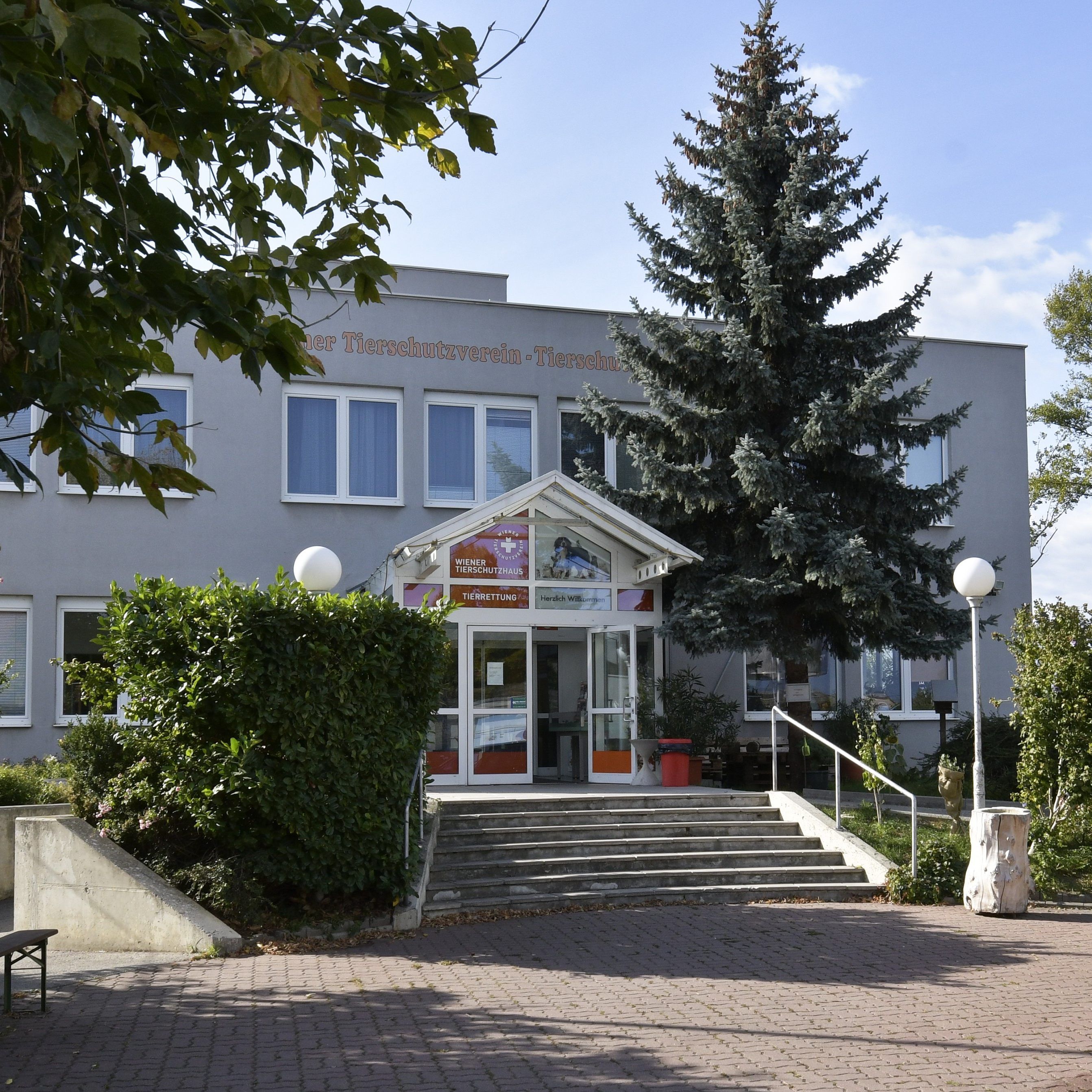 Im Tierschutzhaus des Wiener Tierschutzvereins (WTV) in Vösendorf beginnt wieder die Vergabe