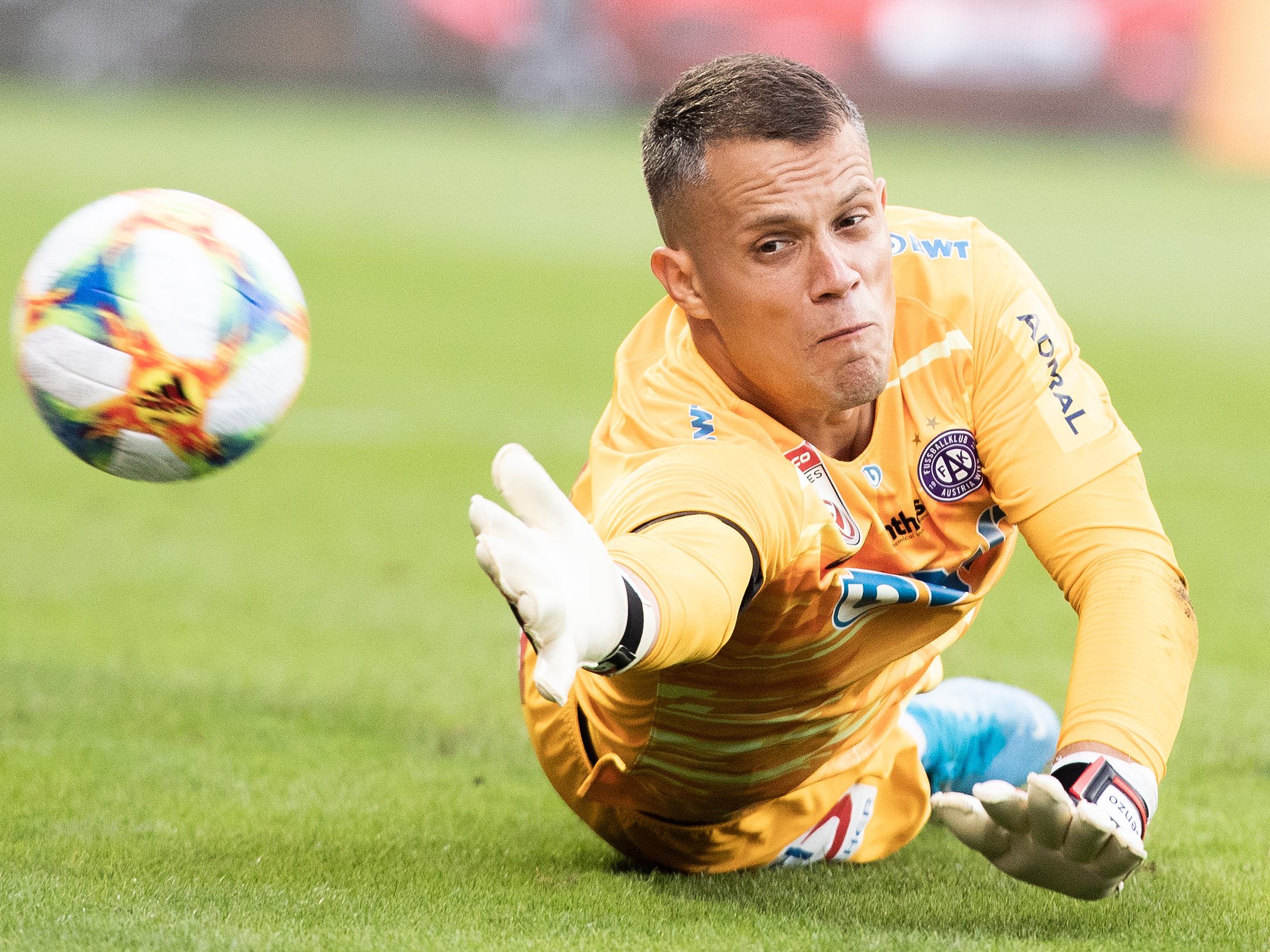 Austria Wien-Goalie Lucic fällt möglicherweise die restliche Fußball-Bundesliga-Saison aus. Austria Wien-Goalie Lucic fällt möglicherweise die restliche Fußball-Bundesliga-Saison aus.