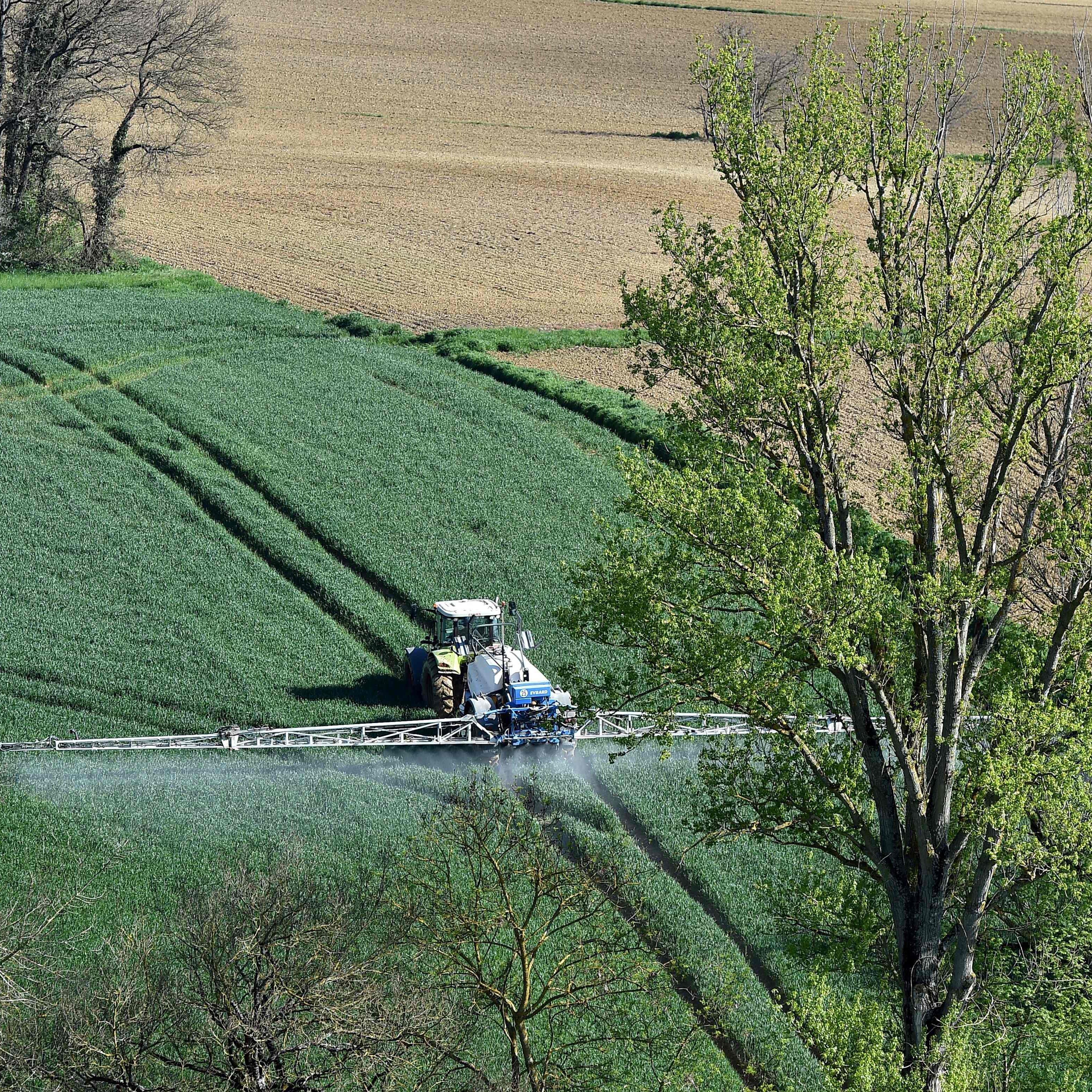 Der Antrag auf ein Glyphosat-Totalverbot in Österreich wurde an die EU-Kommission geschickt.