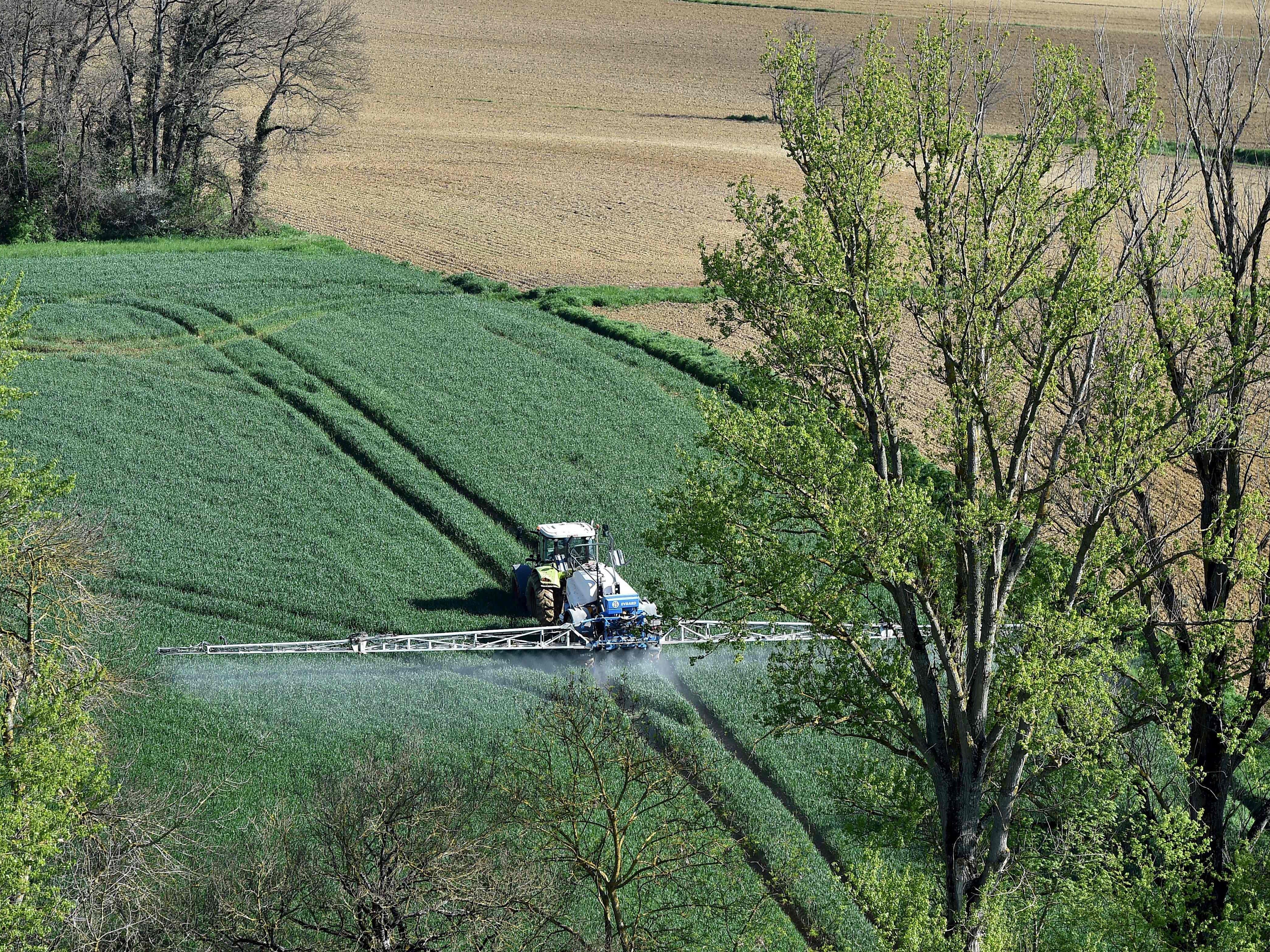 Der Antrag auf ein Glyphosat-Totalverbot in Österreich wurde an die EU-Kommission geschickt.