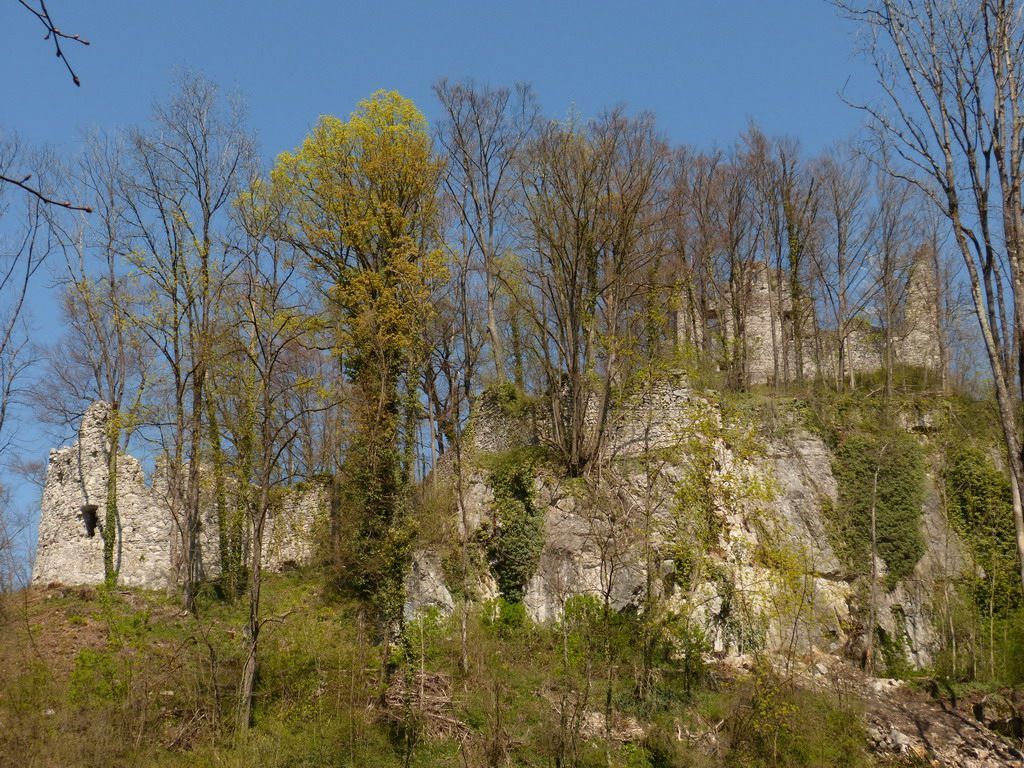 Die Ruine Neuburg